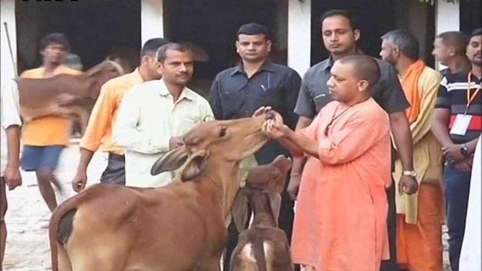UP jails to serve as &#039;gaushalas&#039;, inmates to tend cows