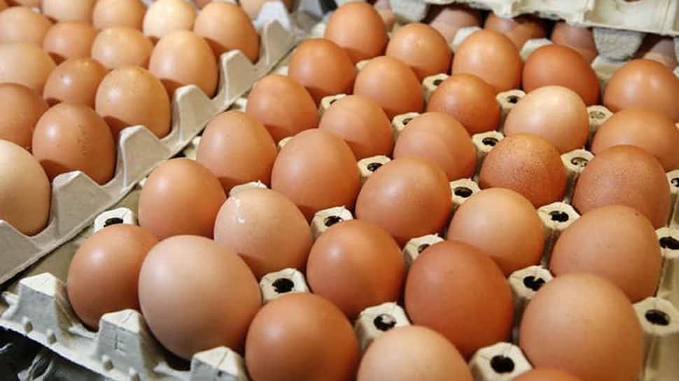 Norway Winter Olympics team accidentally orders 15,000 eggs in Pyeongchang