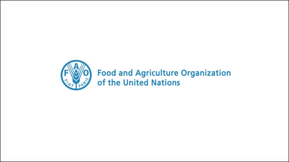 Italy&#039;s energy giant, FAO ink Nigeria water accord