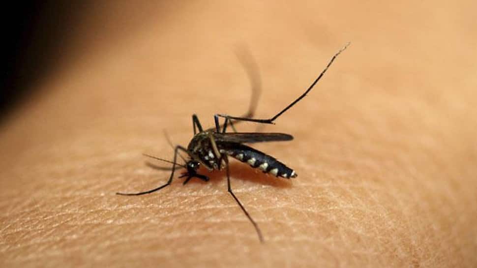 Dengue fever may increase risk of stroke: Study