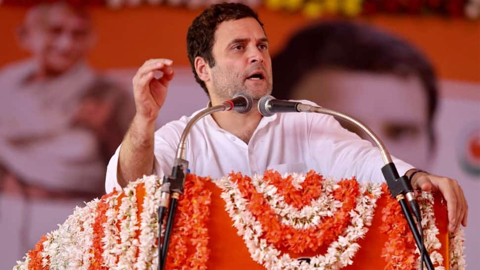 Support me like you supported my grandmother Indira Gandhi: Rahul appeals to people in Karnataka&#039;s Chikmagalur