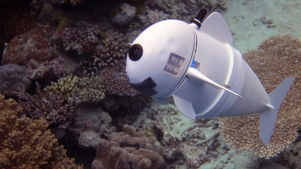 Meet SoFi, the silicon robotic fish built to study marine life