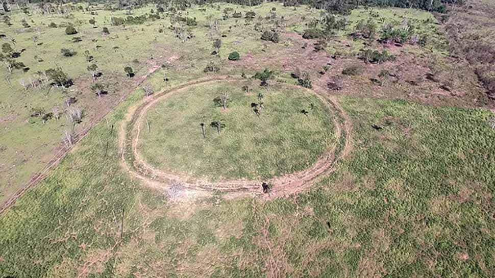 Lost villages uncovered in Brazil&#039;s super-dense Amazon jungles