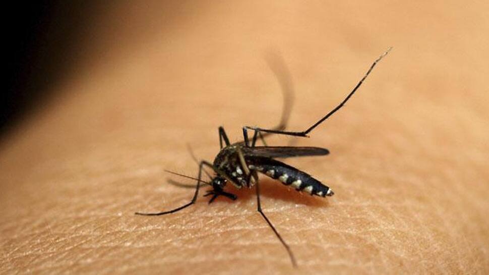 This new drug could make your blood kill mosquito