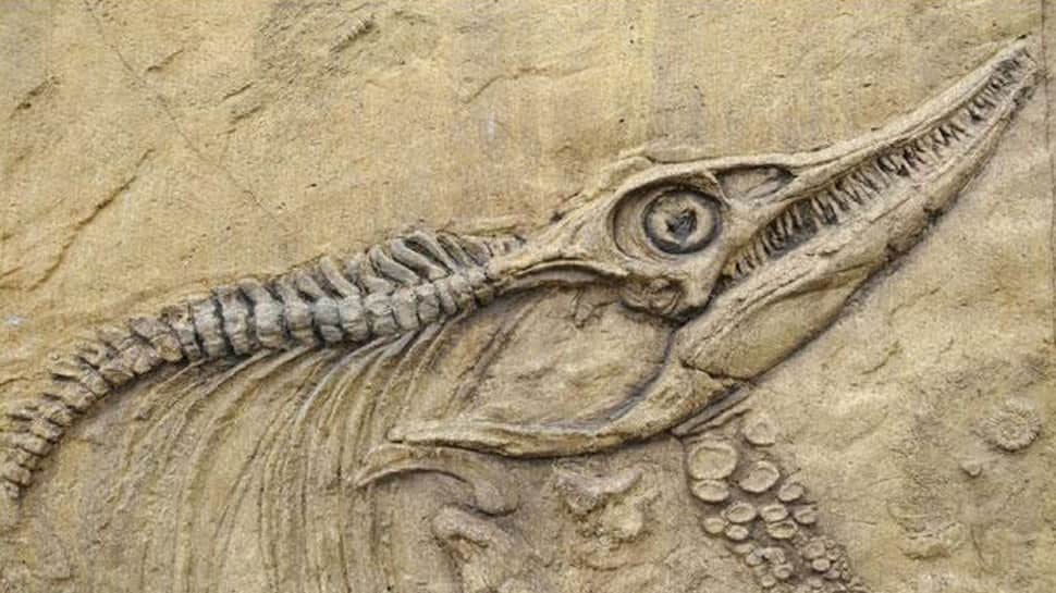 Dinosaurs were dying off long before asteroid hit: Study