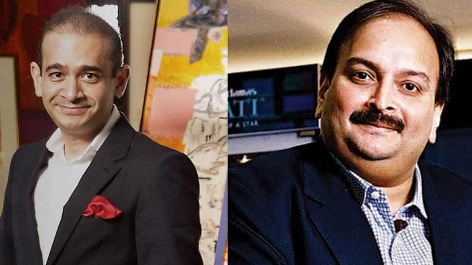 PNB scam: Mumbai court issues non-bailable warrant against Nirav Modi, Mehul Choksi