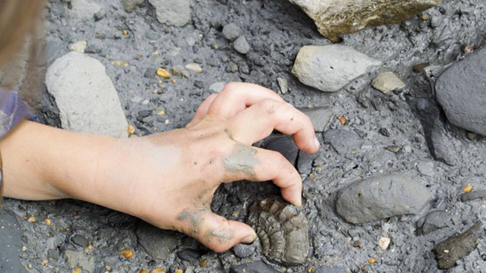 Fossil finger bone could challenge modern migration theory