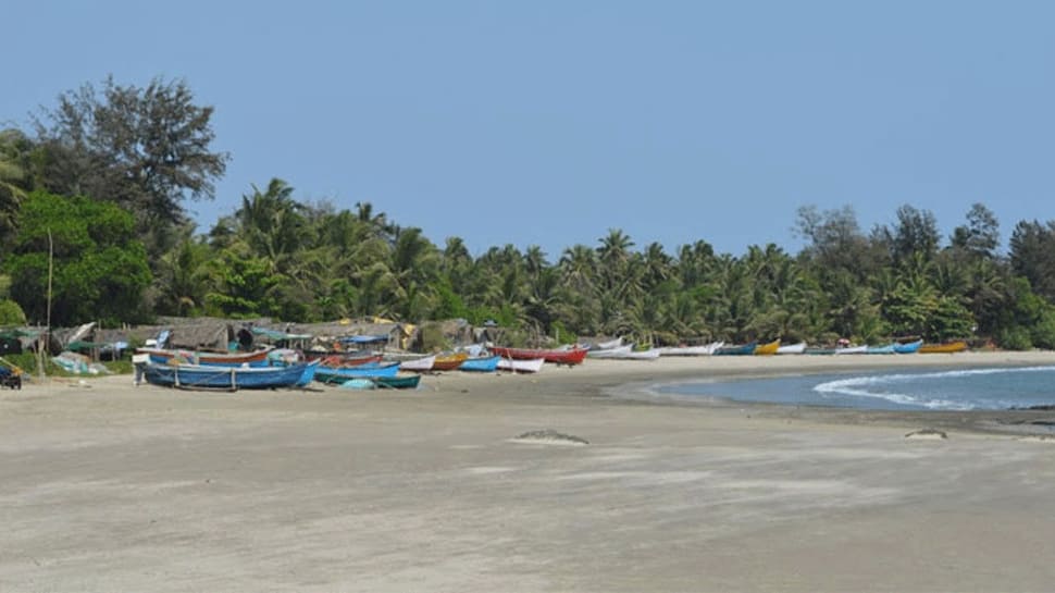 Sun, sand and sanitation: Goa celebrates beach hygiene campaign with music party