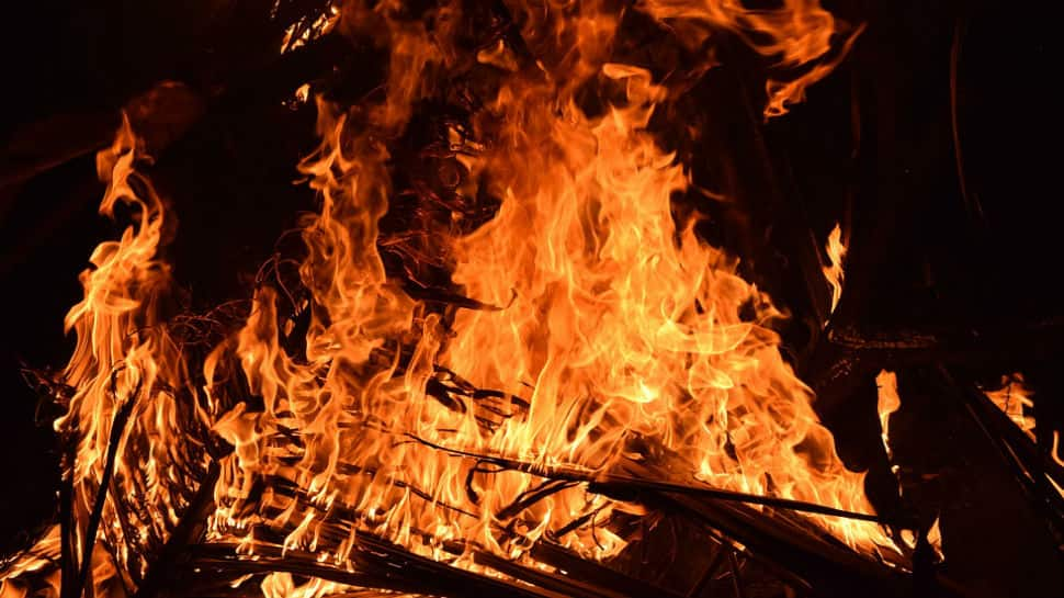 Massive fire in Delhi&#039;s Uttam Nagar claims two lives