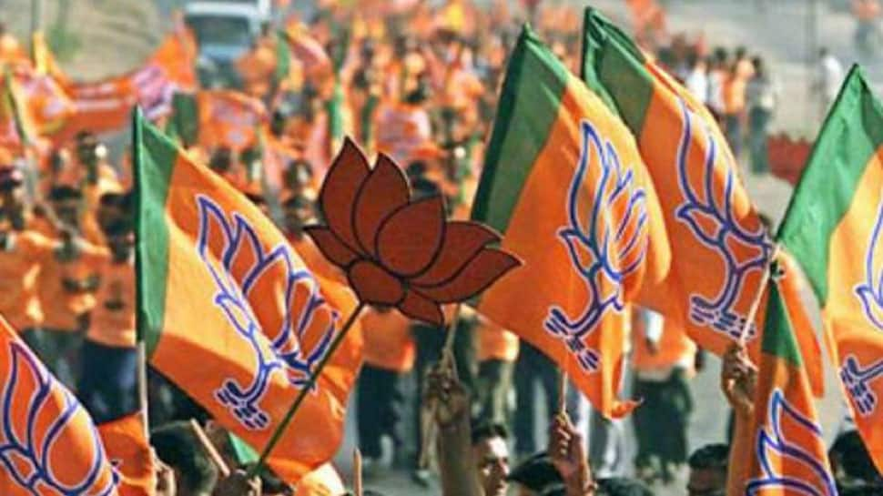 After Madhya Pradesh, organisational rejig on cards for BJP in Rajasthan, Andhra Pradesh