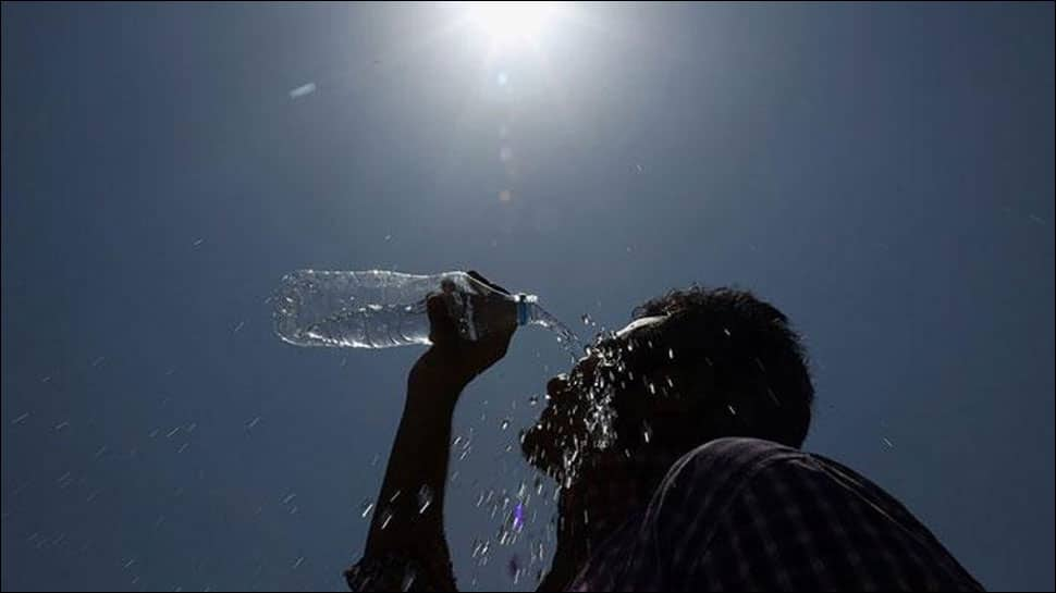 Parts of Vidarbha hottest with over 45 degrees C; heat wave to spread: IMD