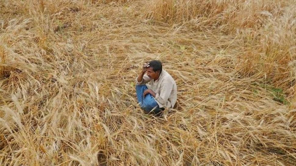 On farmer deaths, MP minister says suicides are a global problem