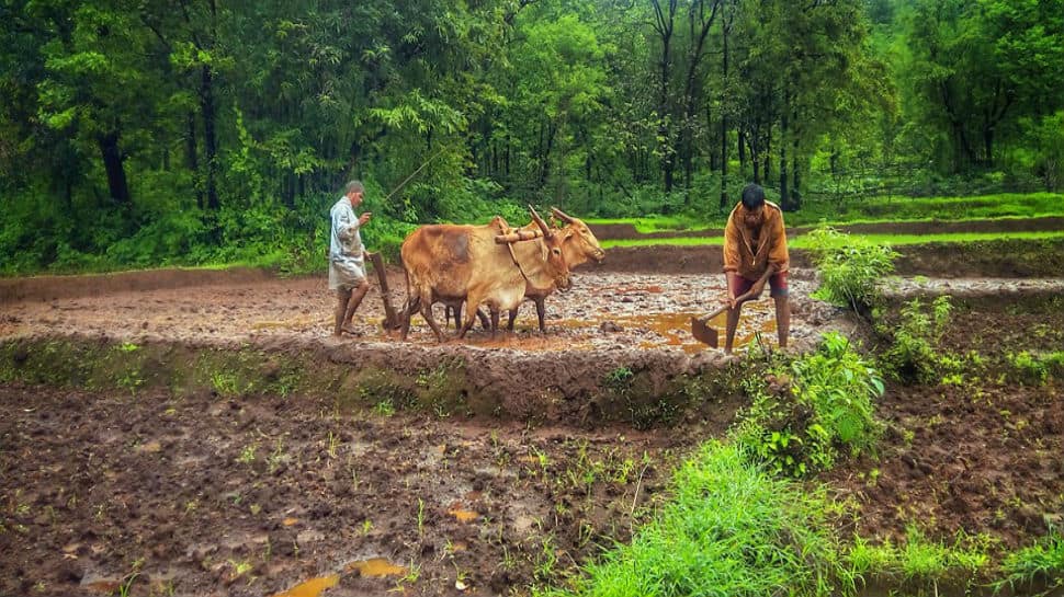 Prime Minister Narendra Modi attacks Karnataka government for ignoring farmers