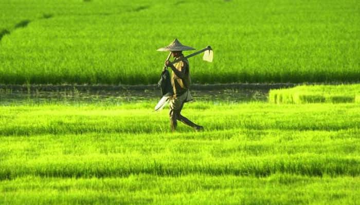 India&#039;s agricultural exports decline 10% in last five years