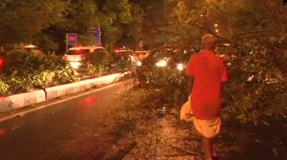 Thunderstorms to continue across Northern India over the weekend, heavy rain in the East: IMD