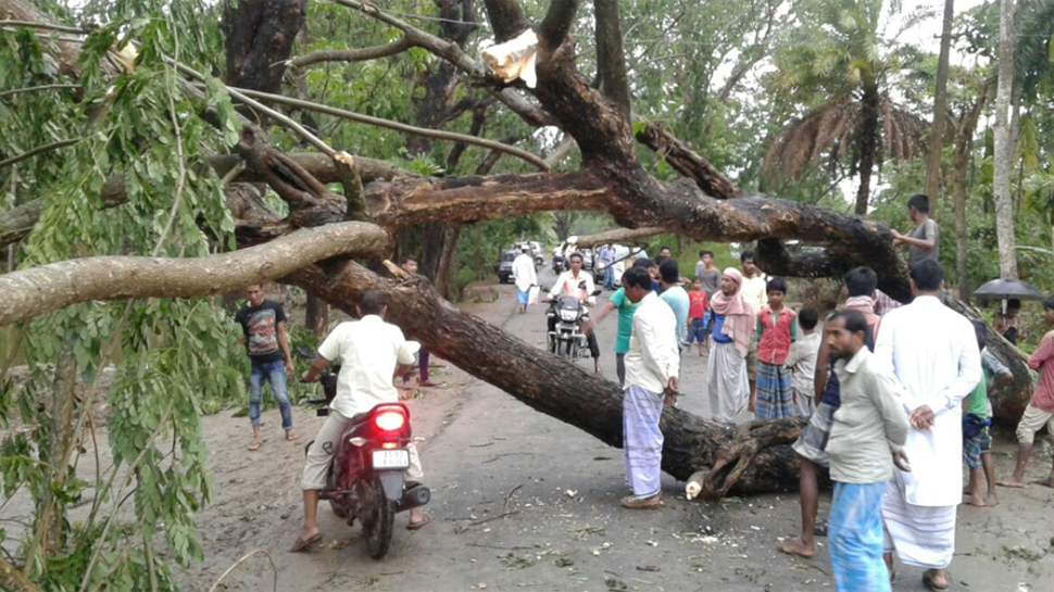 Death toll in Sunday storm mounts to 62, maximum casualties in Uttar Pradesh