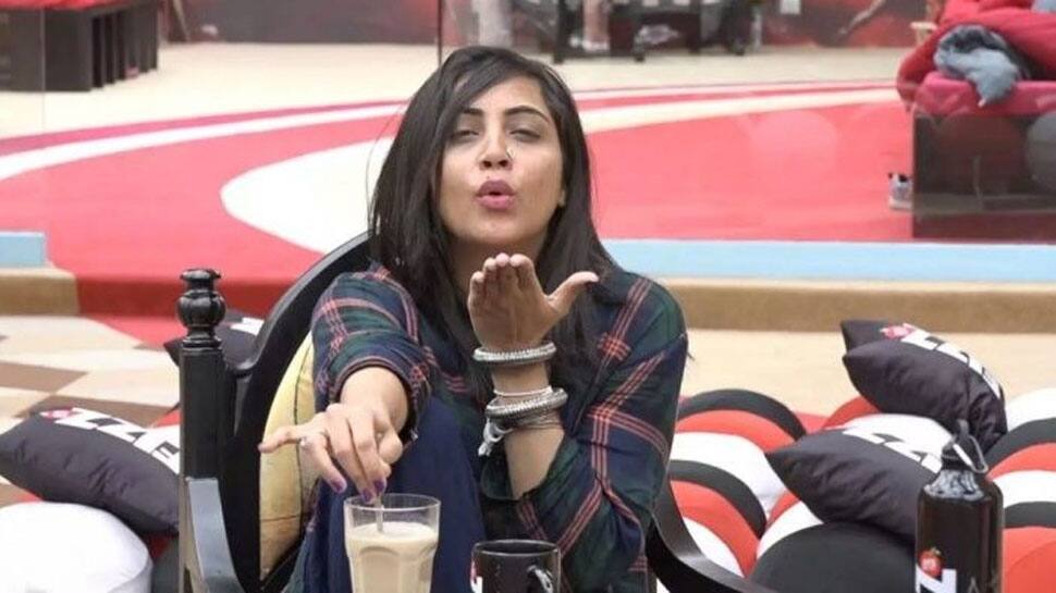 Former &#039;Bigg Boss 11&#039; contestant Arshi Khan&#039;s sizzling dance on &#039;Rashke Qamar&#039; has gone viral—Watch