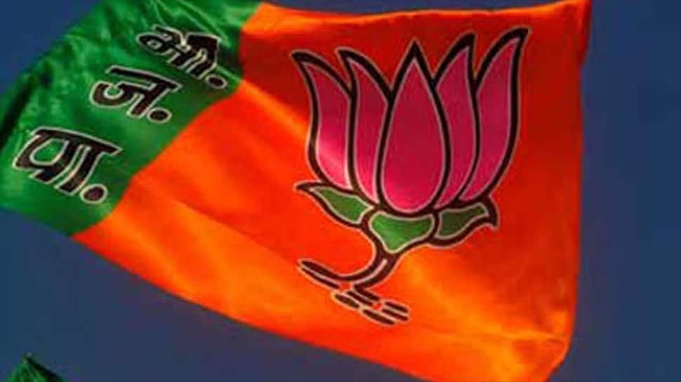 Karnataka poll results trailer of 2019 Lok Sabha polls: J&amp;K Dy CM