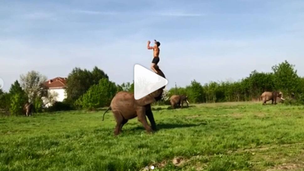 This man does a somersault on an elephant and it will give &#039;Baahubali&#039; Prabhas jitters—Watch viral video