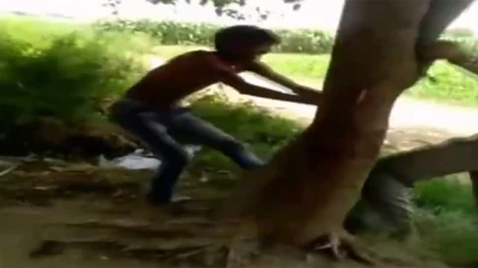 Man tied to tree, thrashed for stealing muskmelons in UP - Watch