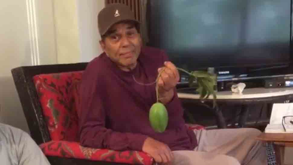 Dharmendra flaunts his love for mangoes in this video — And it&#039;s worth a watch