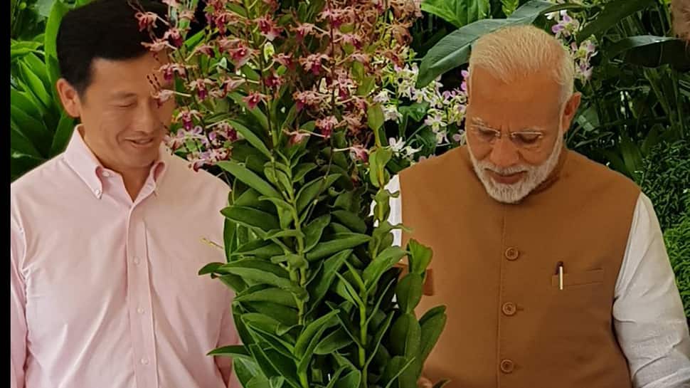 Dendrobrium Narendra Modi: Orchid named after PM Narendra Modi in Singapore