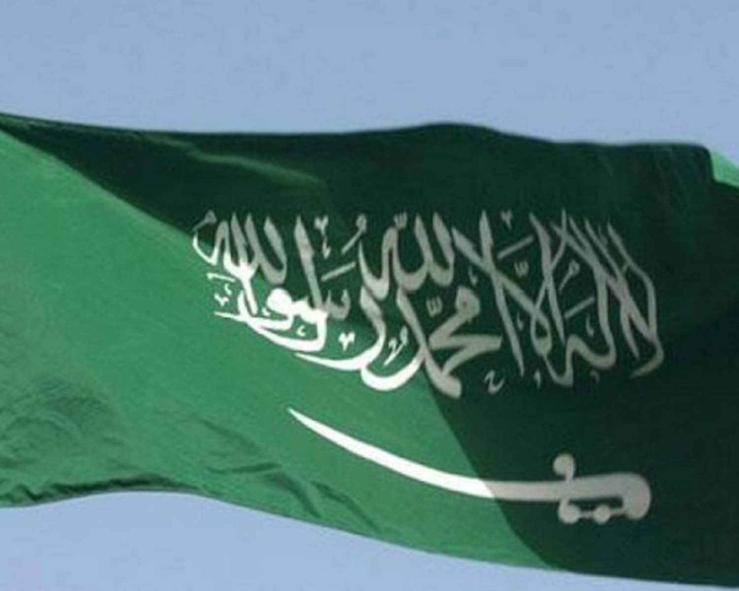 Saudi Arabia releases eight people held in activist crackdown