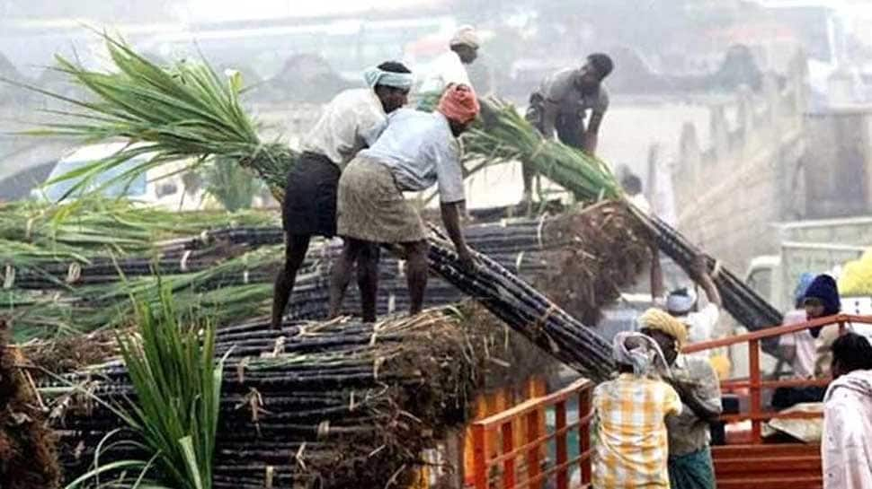 Sweet deal? Government set to bring Rs 7000 crore package to woo sugercane farmers