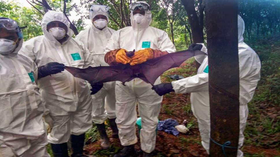 Fearing Nipah virus, Saudi Arabia bans products from Kerala