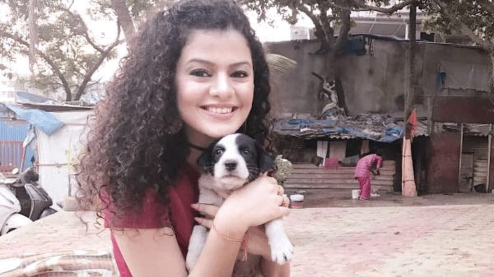 Palak Muchhal stalked, man arrested