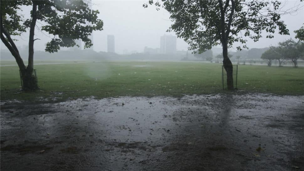  IMD issues warning of heavy rainfall in Karnataka, Kerala, Goa