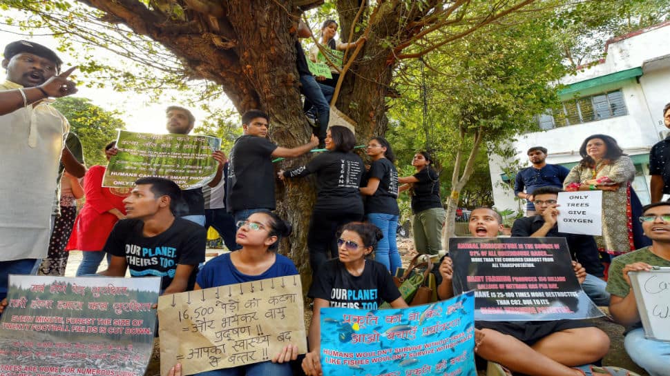 Locals protest cutting of 14,000 trees in Delhi, AAP and Centre pass the buck