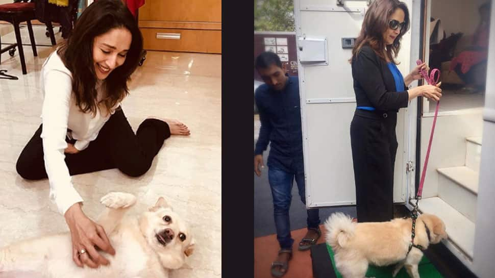 Madhuri Dixit loses pet to cancer, shares heartwarming video—Watch  