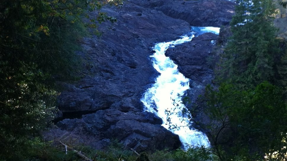 Indian engineer dies after jumping off rocks at Elk river waterfalls in US