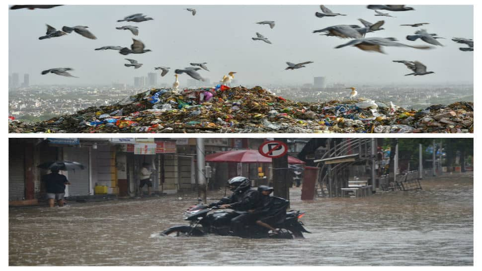 Supreme Court comes down hard against garbage mess in Delhi, waterlogging in Mumbai