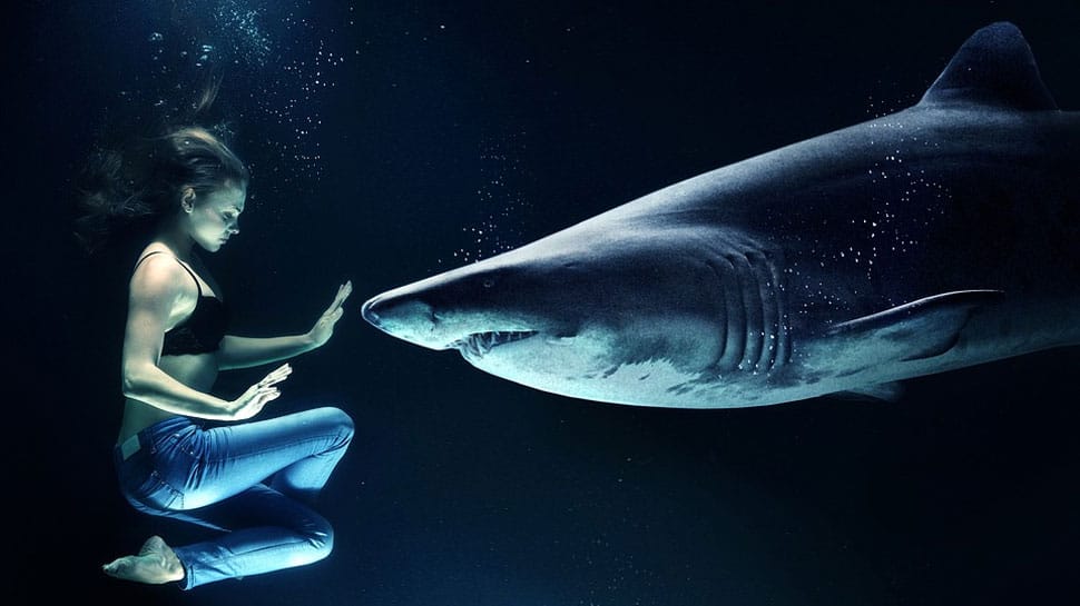 Instagram model attacked by shark while posing for a picture—See inside 