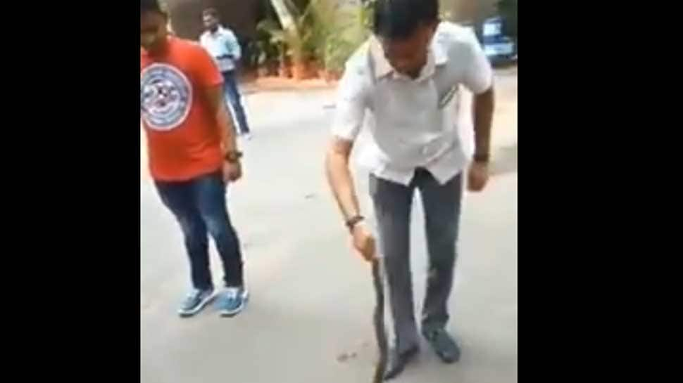 Gujarat Congress MLA Paresh Dhanani catches poisonous snake outside residence, video goes viral