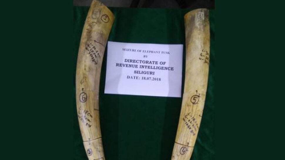 Six pieces of ivory seized in West Bengal, two held