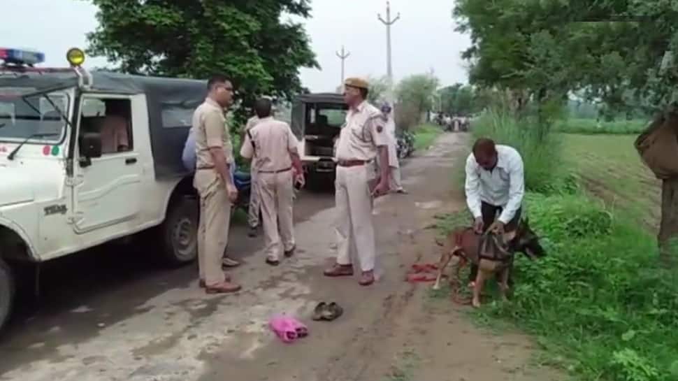 Man lynched by mob in Alwar over alleged cow smuggling