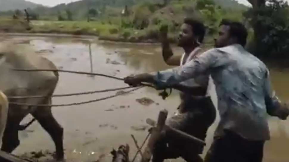 2 Telangana farmers take up Kiki challenge, leave internet in splits