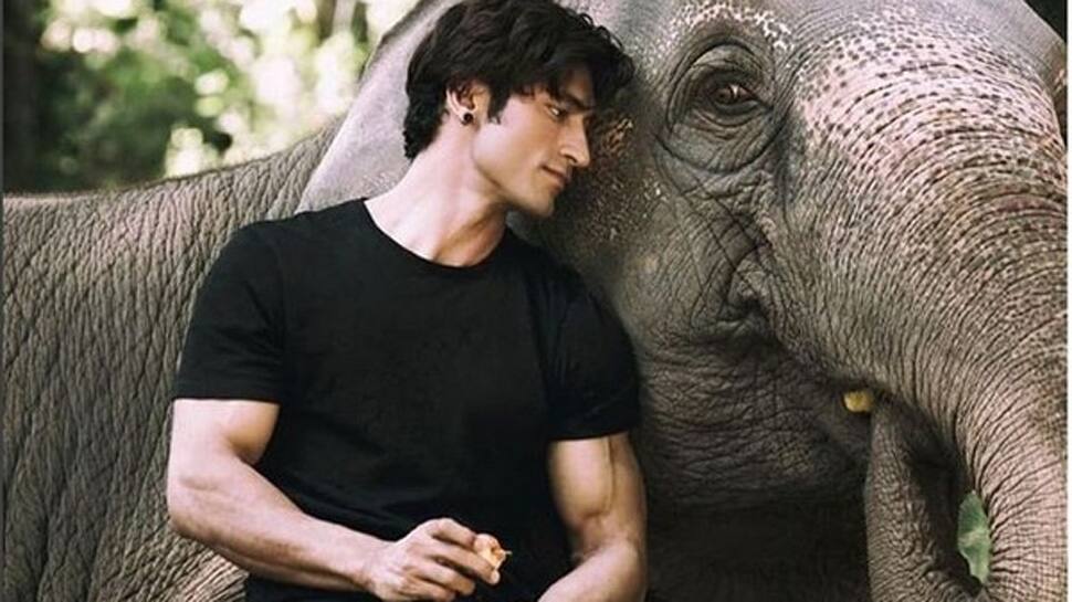 World Elephant Day: Vidyut Jammwal says no to ivory