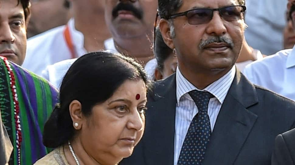 Pakistan&#039;s interim Law Minister Syed Ali Zafar meets Sushma Swaraj