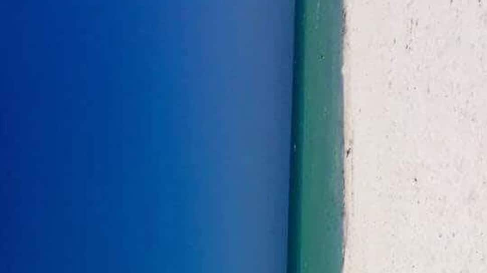 Door or beach? Internet&#039;s latest pic mystery finally gets an answer