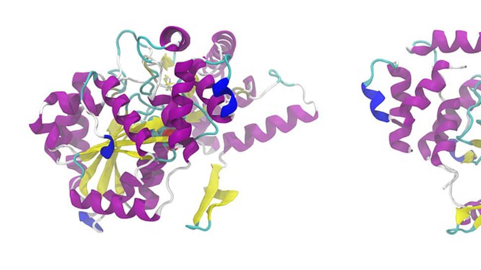 Structure of FAT10 protein analyzed!