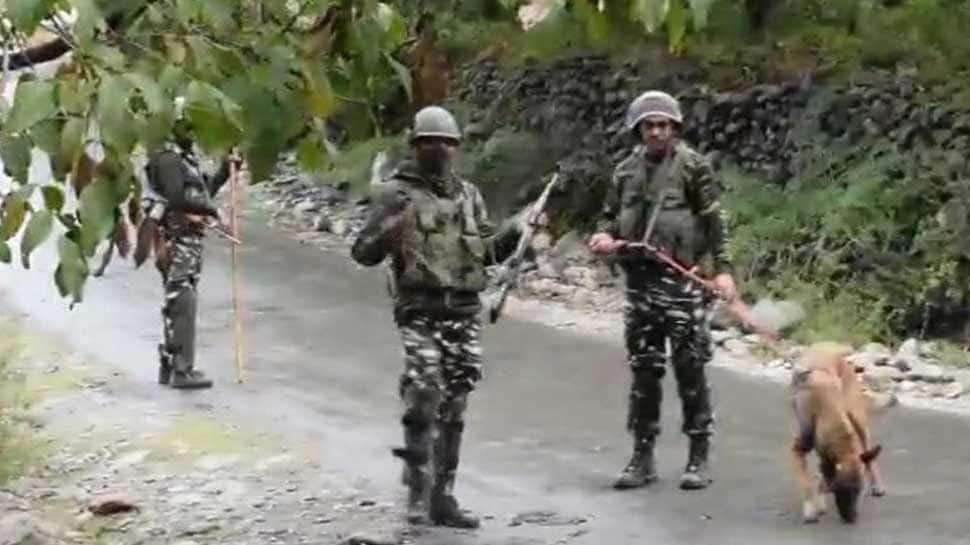 Top Jaish-e-Mohammed terrorist of Pakistani origin killed in Pulwama encounter