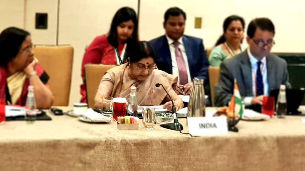 Peace, security essential for progress, terrorism remains threat: Sushma Swaraj at SAARC meet; Pakistan hits back