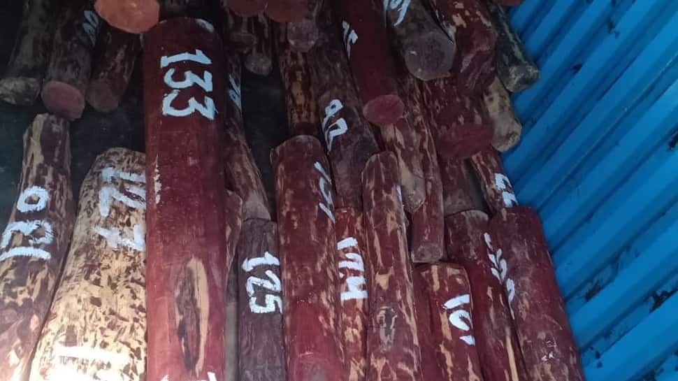 Delhi: Special Task Force sieze 4.5 tonnes of red sandalwood, 4 arrested