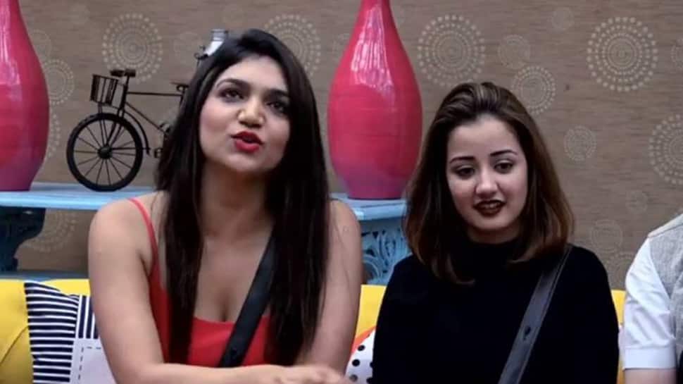 &#039;Bigg Boss 12&#039; evictees had experience of a lifetime