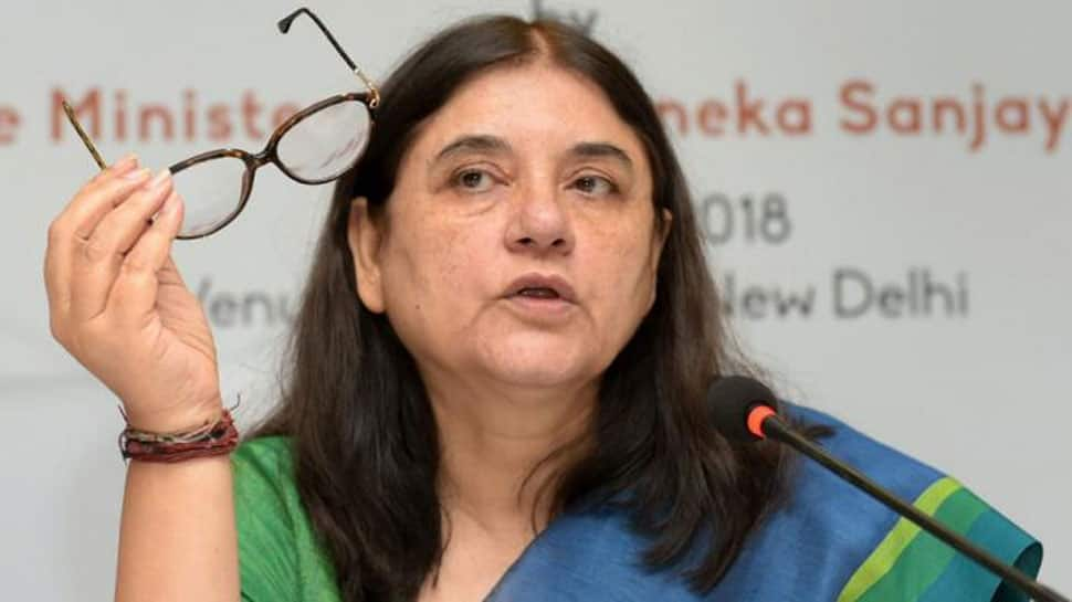 Image result for maneka gandhi zee news