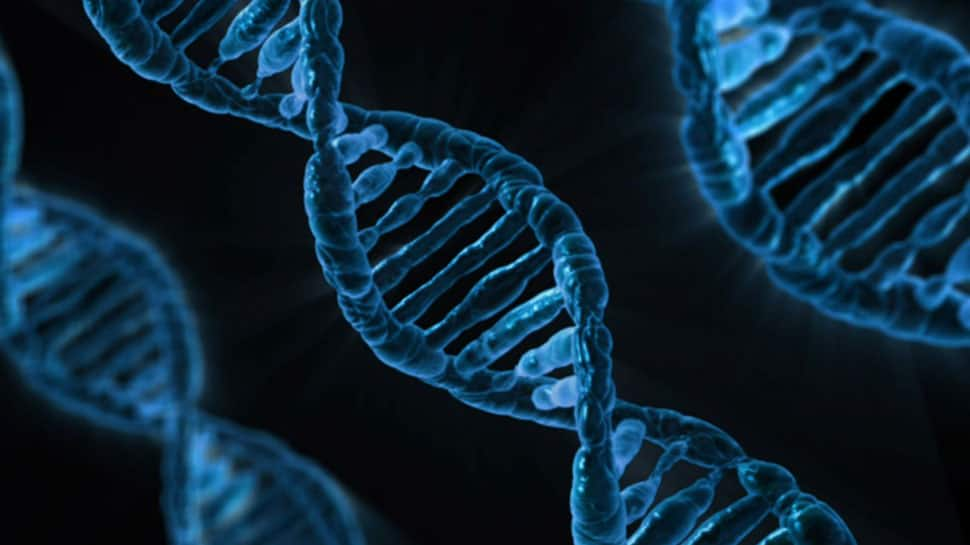 Scientists develop new DNA analysis tool that can help nab criminals